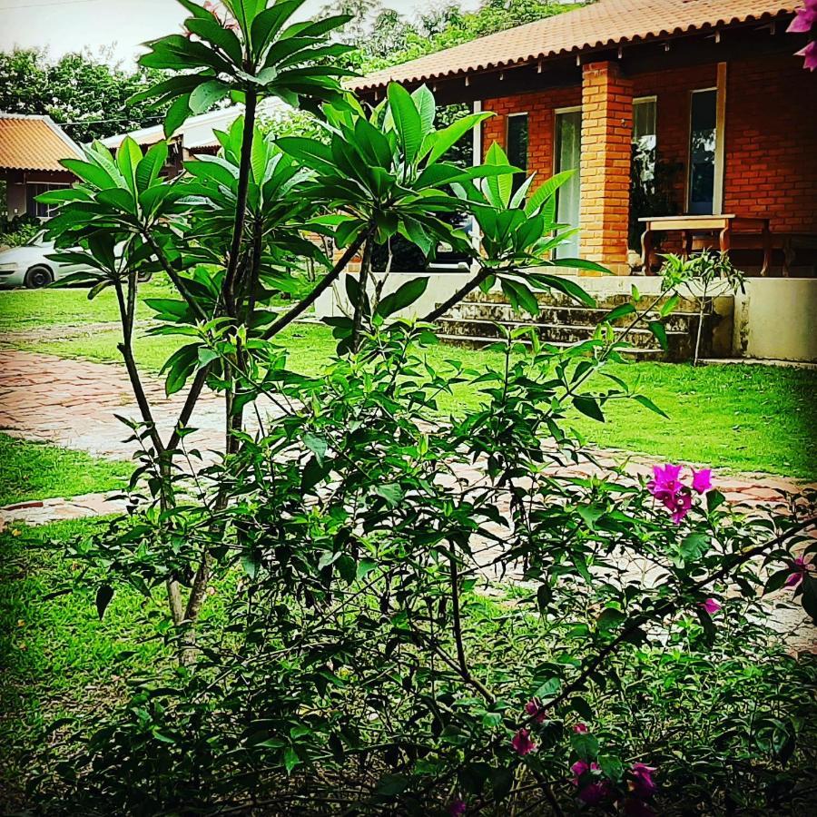 Chacara Manaca Da Serra Chapada dos Guimarães Exteriör bild